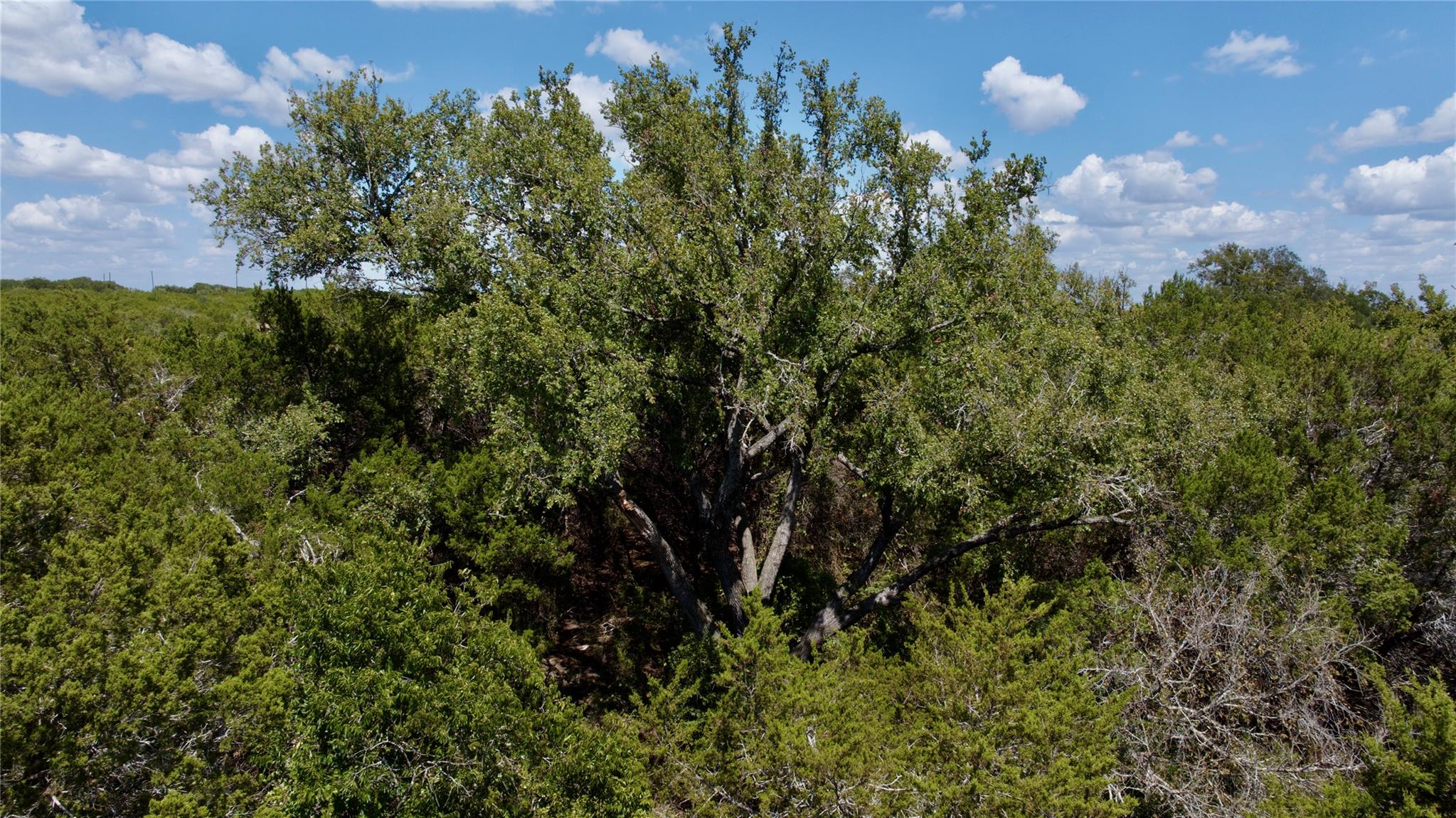 Lot 31 Donnie DR, Lampasas, TX 76550