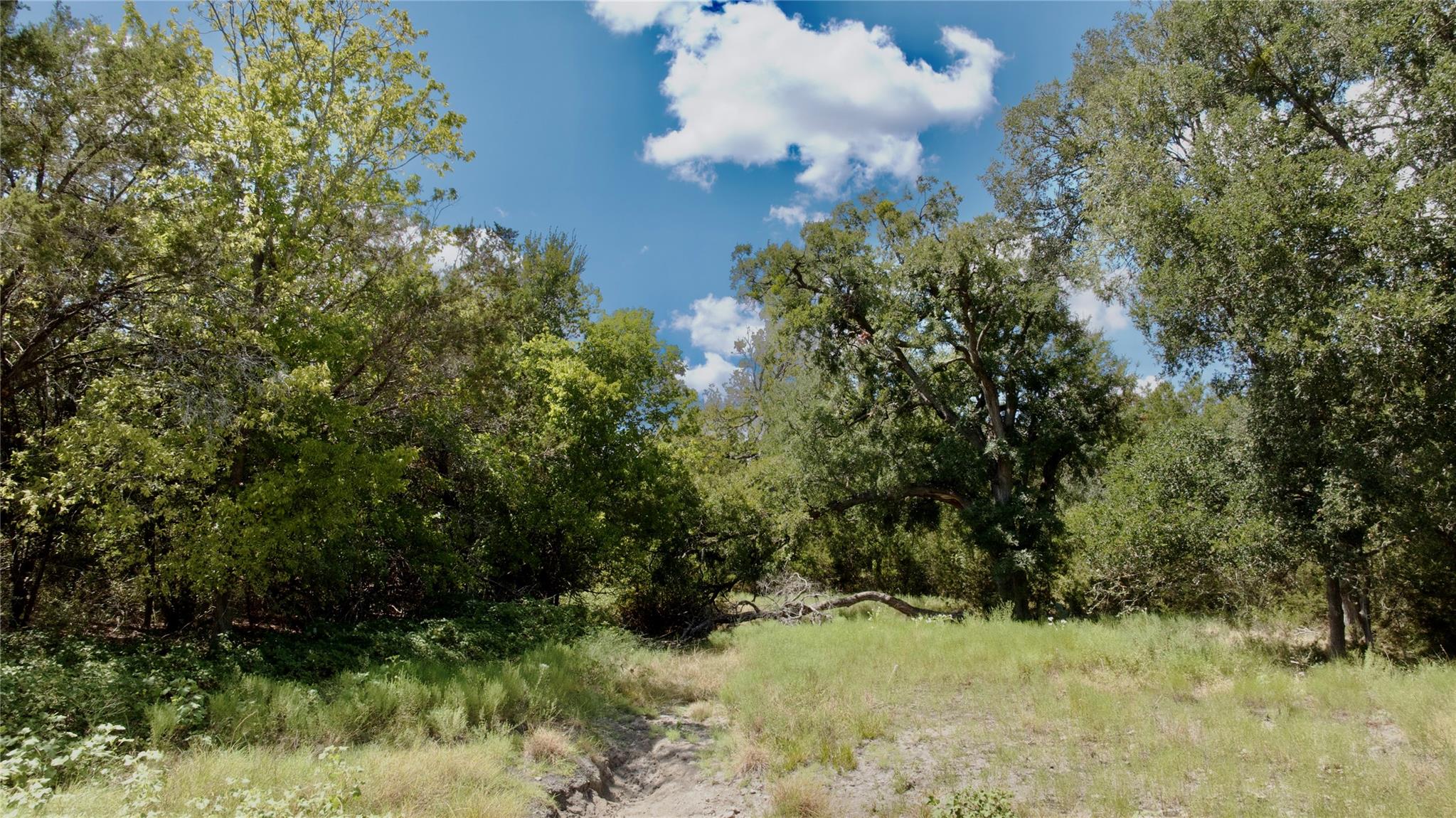 Lot 31 Donnie DR, Lampasas, TX 76550