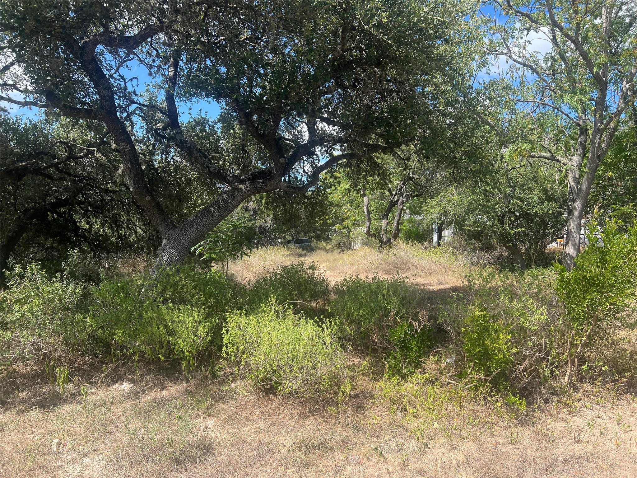542 Flintstone DR, Canyon Lake, TX 78133