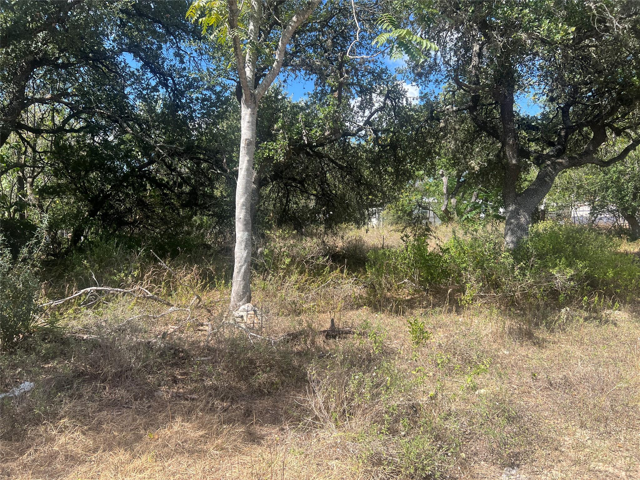 542 Flintstone DR, Canyon Lake, TX 78133