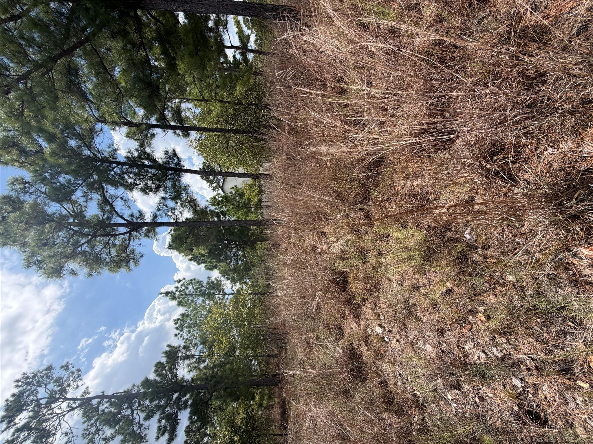 Lot 1189 Awehi LN, Bastrop, TX 78602