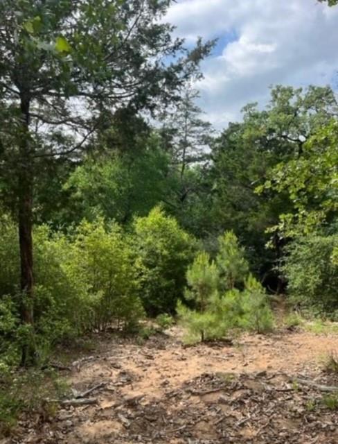 Lot 1114 Kaohikaipu DR, Bastrop, TX 78602