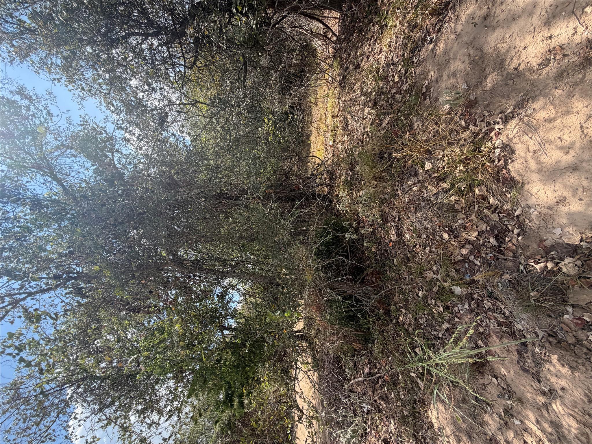 155 Waimanalo LN, Bastrop, TX 78602