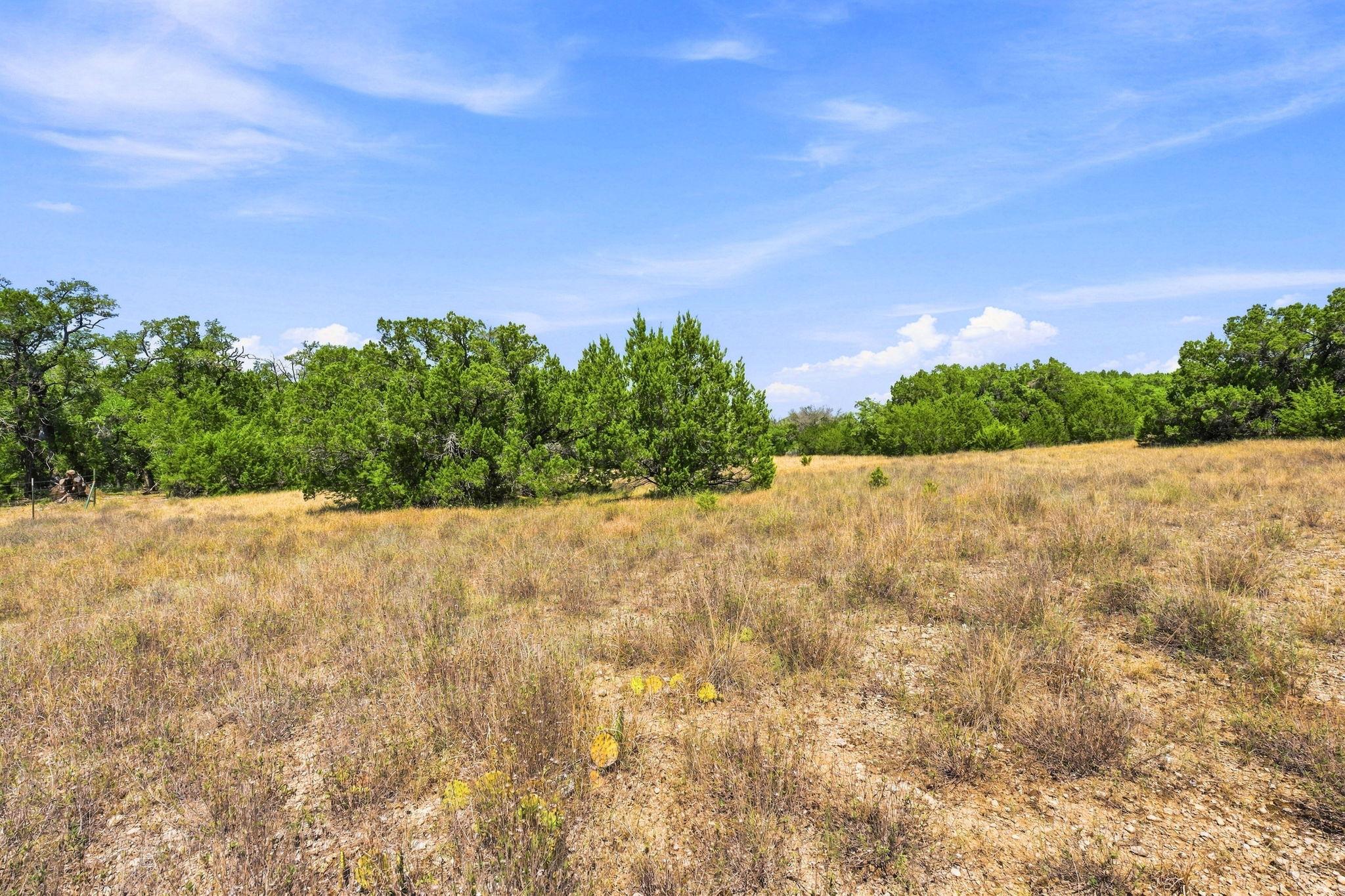 TBD 10.68 Ac Lipan Rn, Fischer, TX 78623
