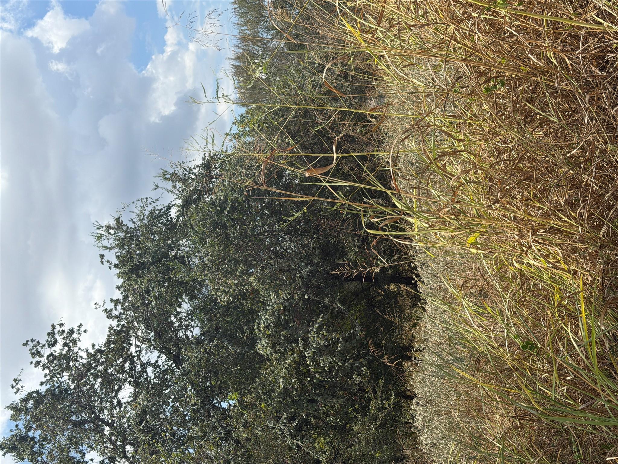 143 Kawainui LN, Bastrop, TX 78602