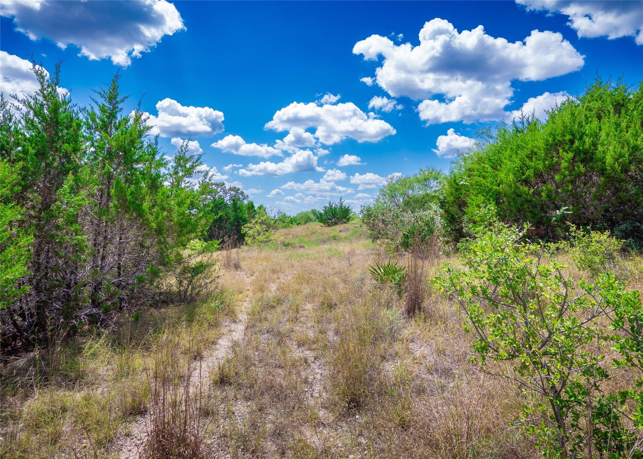 Lot 58 Eagle RDG, Burnet, TX 78611