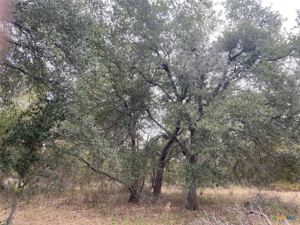 TBD County Road 405, Buckholts, TX 76518