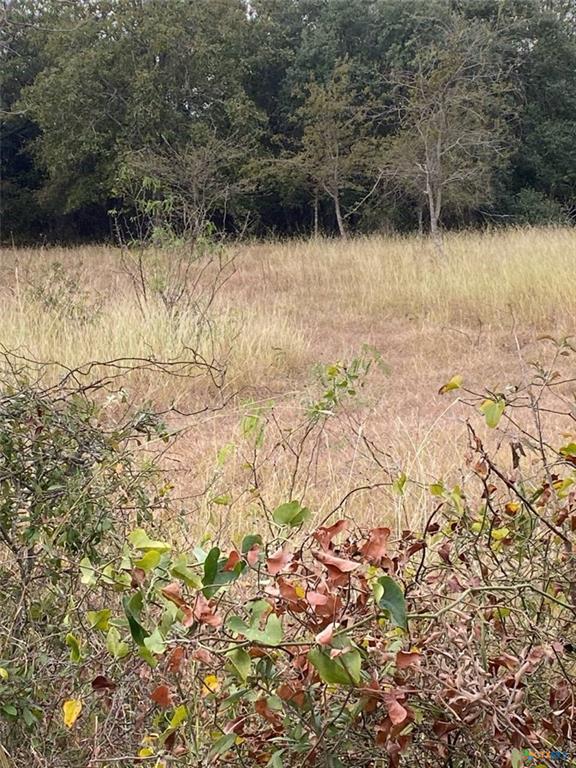 TBD County Road 405, Buckholts, TX 76518