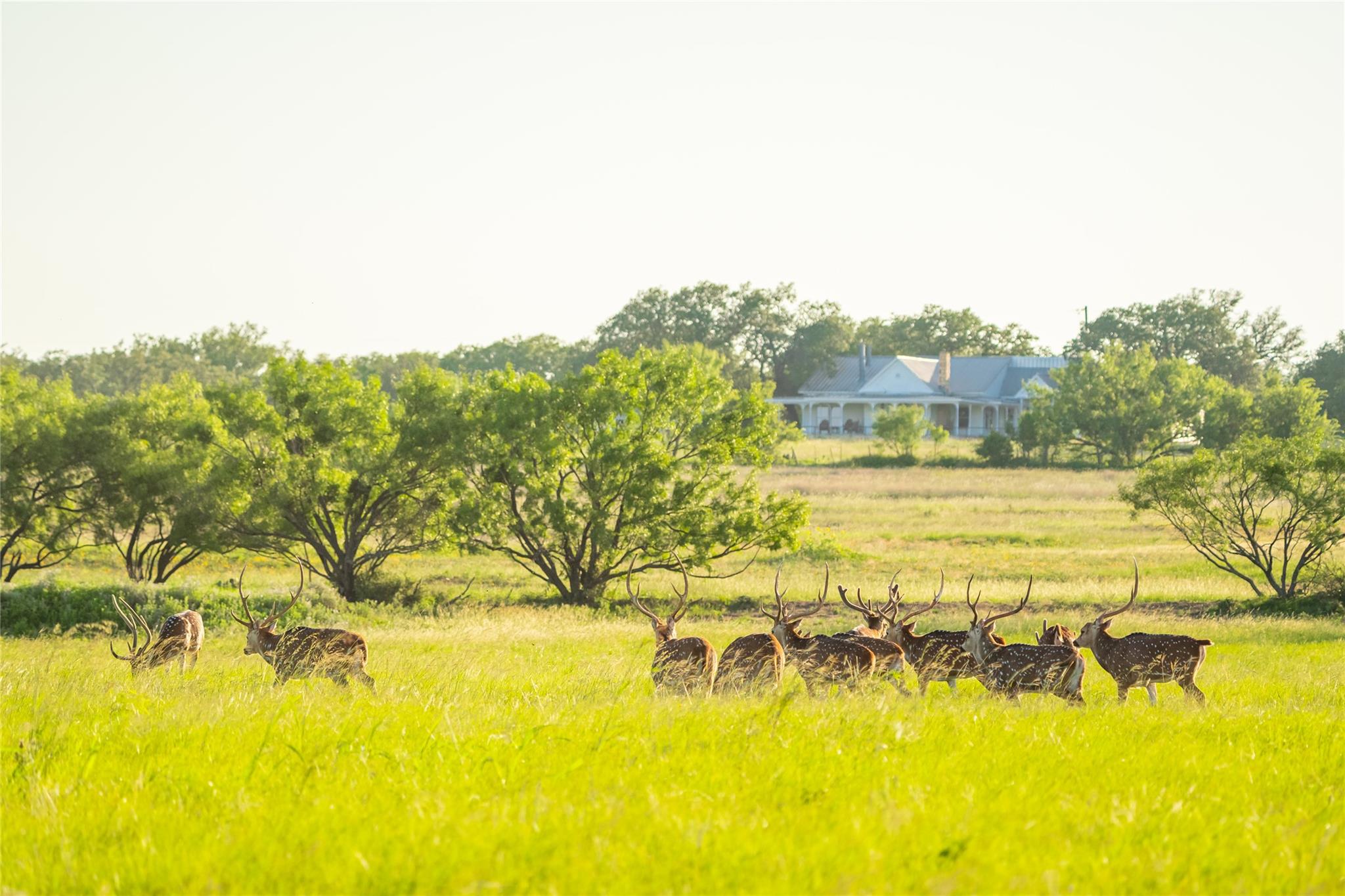 0 County Road 476 RD, Brady, TX 76872