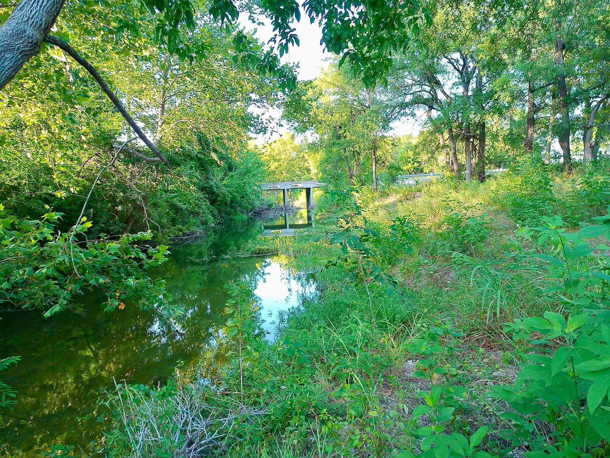 100 Serenity DR, Liberty Hill, TX 78642