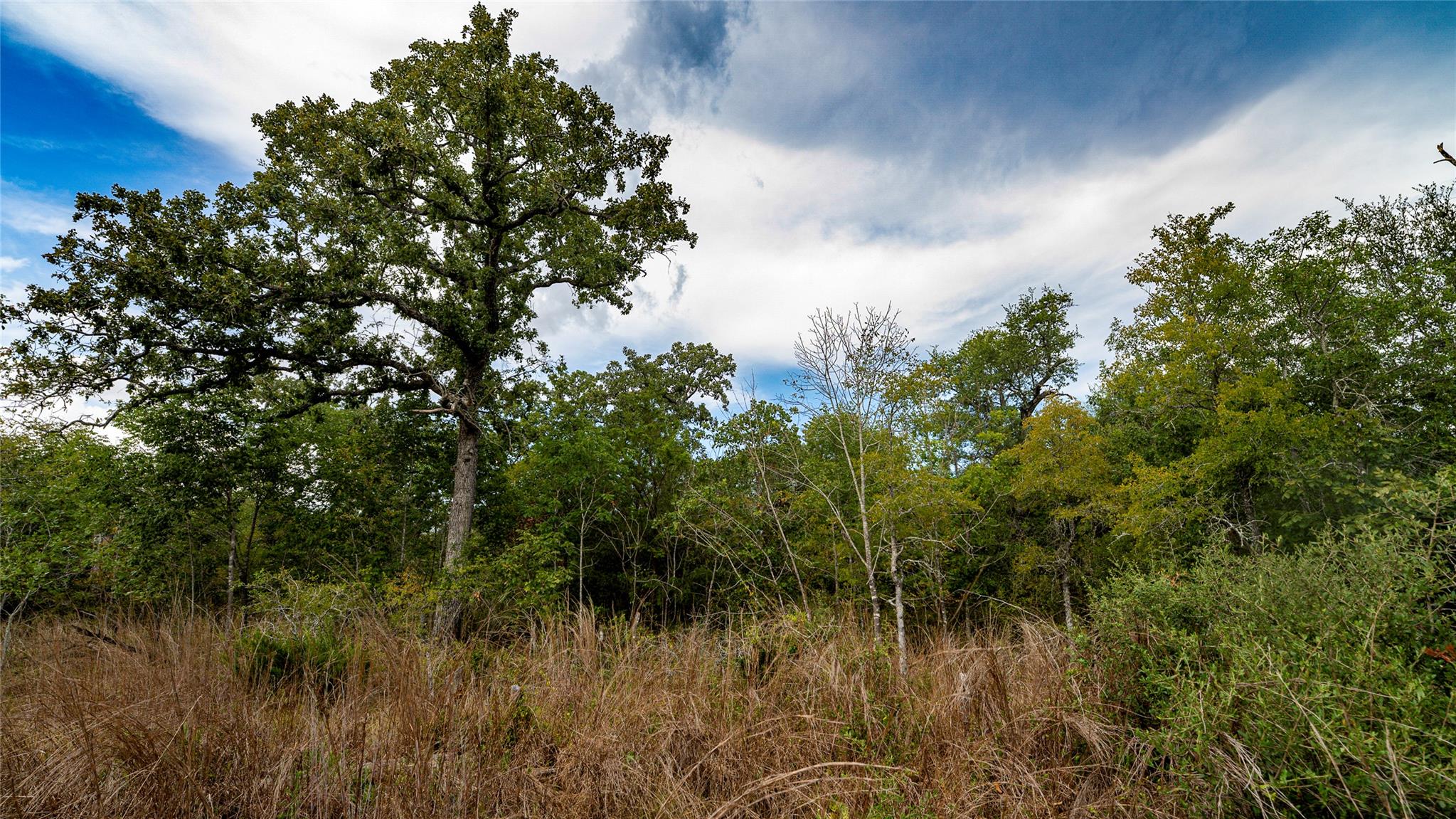TBD Cr 405, Buckholts, TX 76518