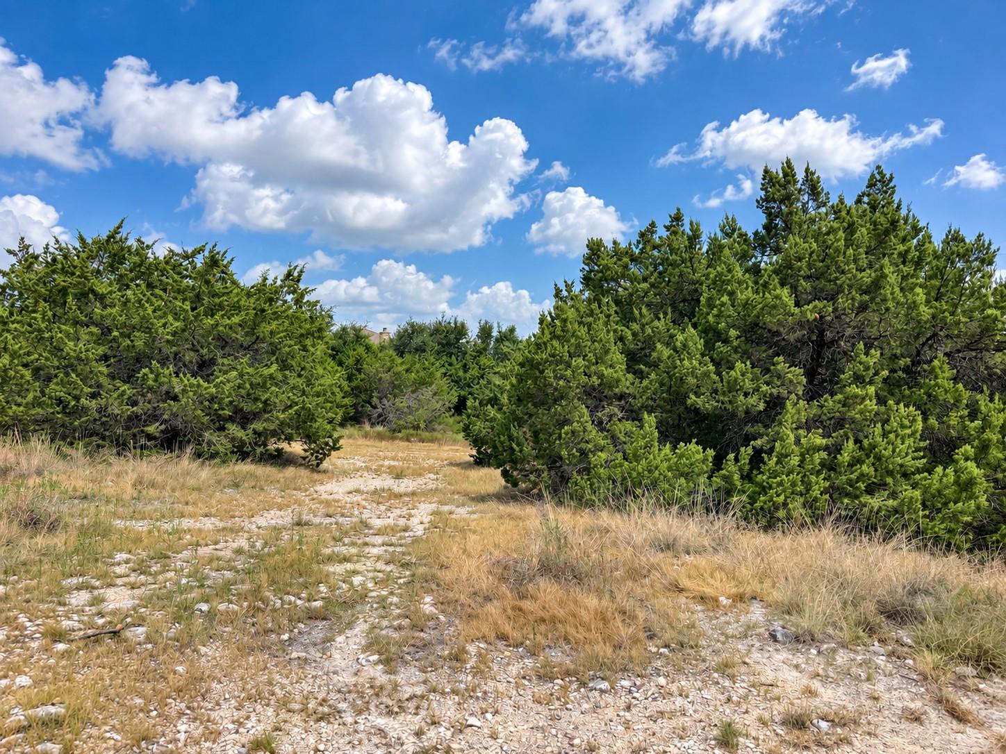 10011 Janet Loop, Dripping Springs, TX 78620