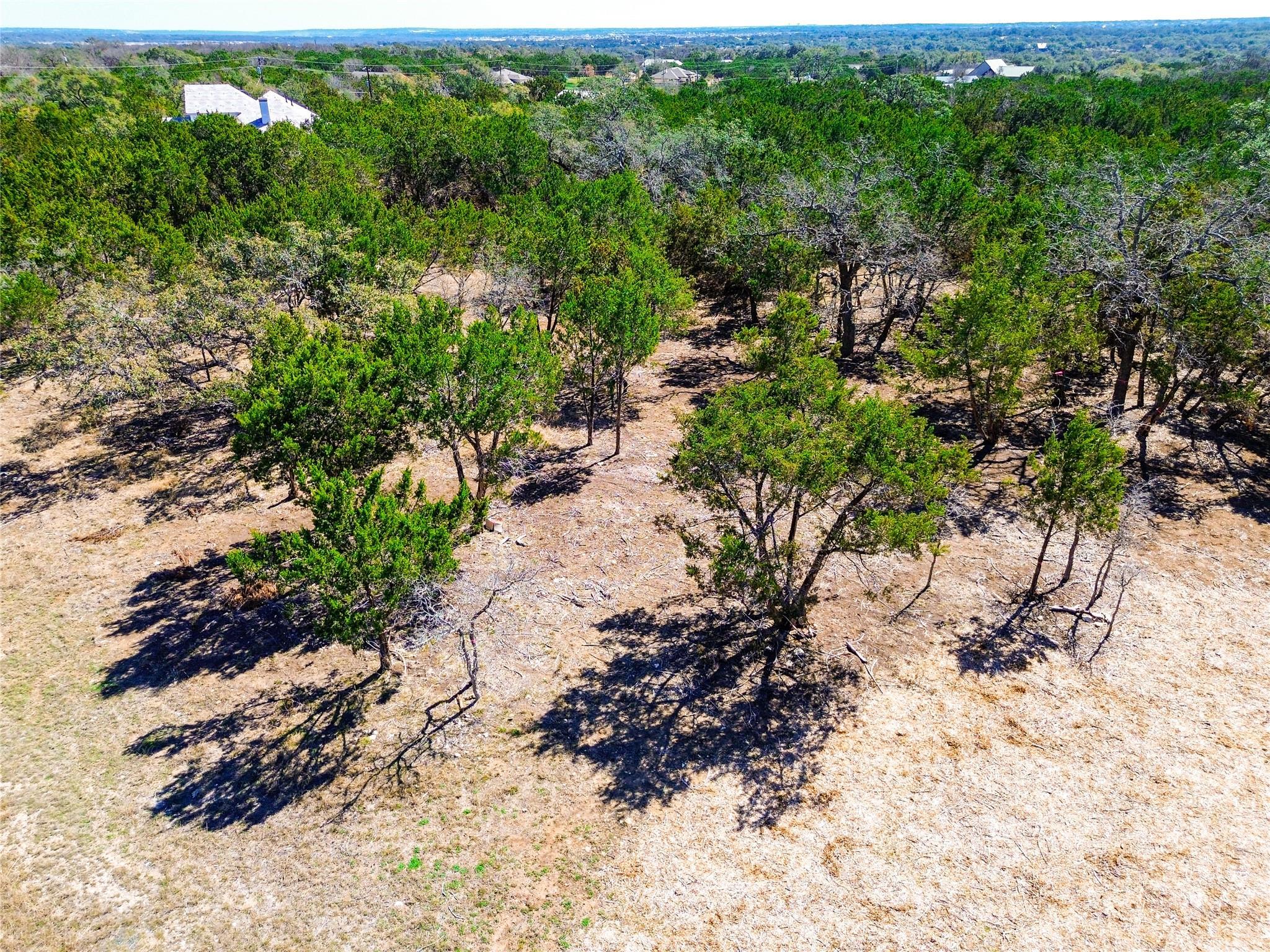 120 Blessing Ranch RD, Liberty Hill, TX 78642