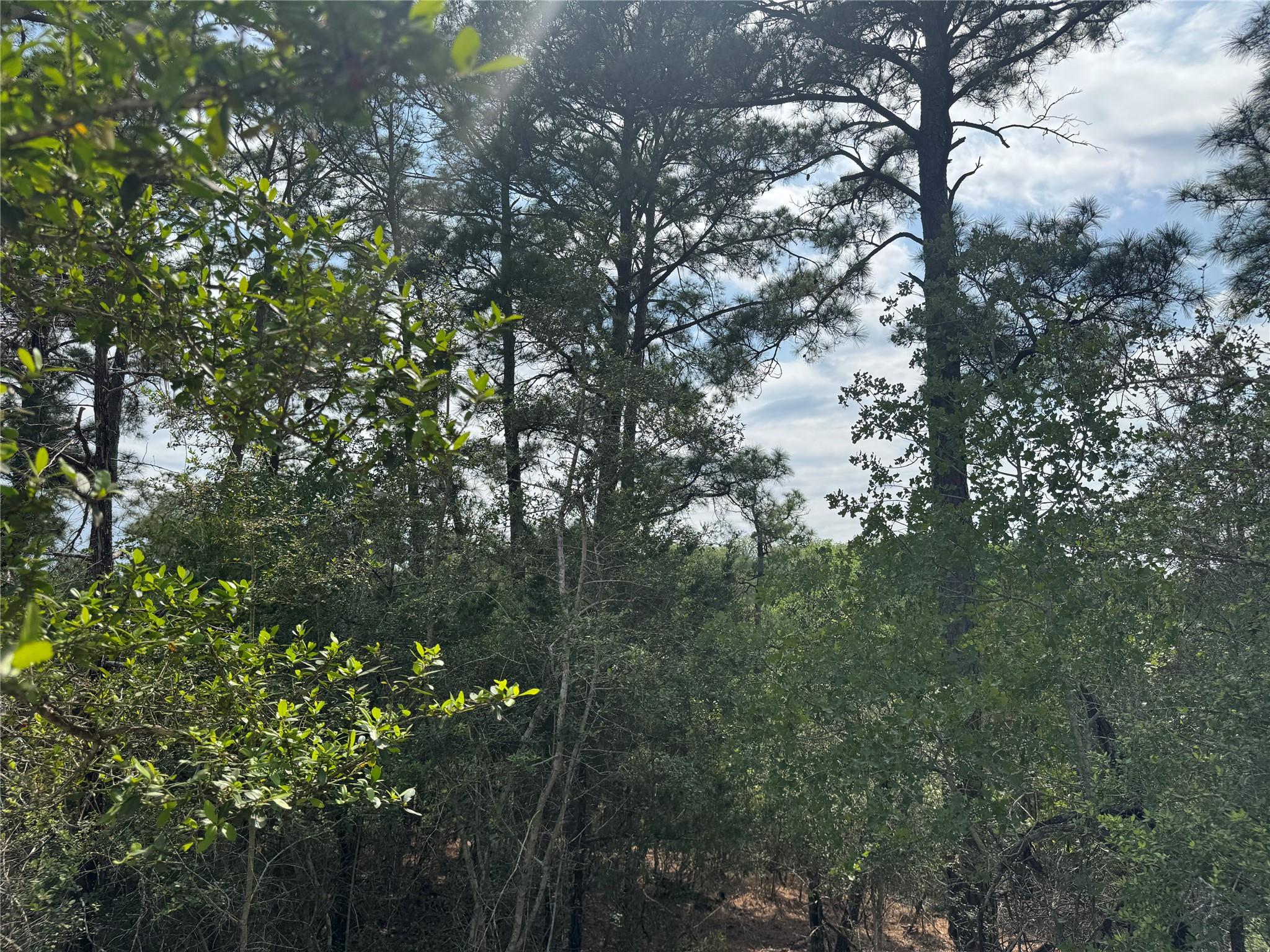 Lot 1263 Hanauma DR, Alum Creek, TX 78602