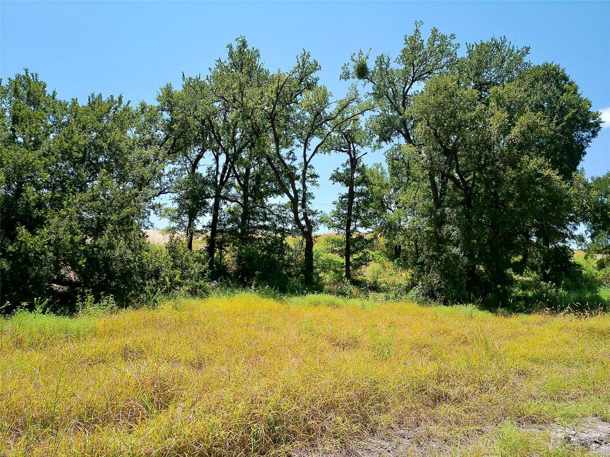 212 Serenity DR, Liberty Hill, TX 78642