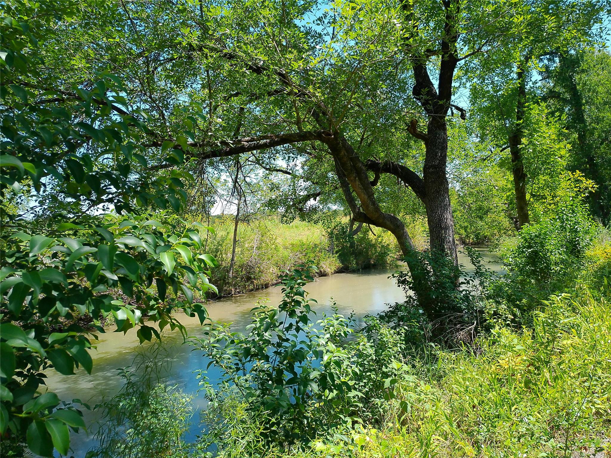 212 Serenity DR, Liberty Hill, TX 78642
