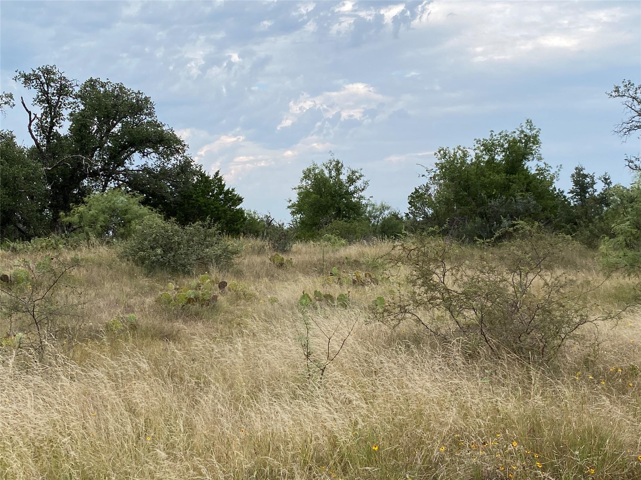 TBD 0001 Cr 296, Richland Springs, TX 76871