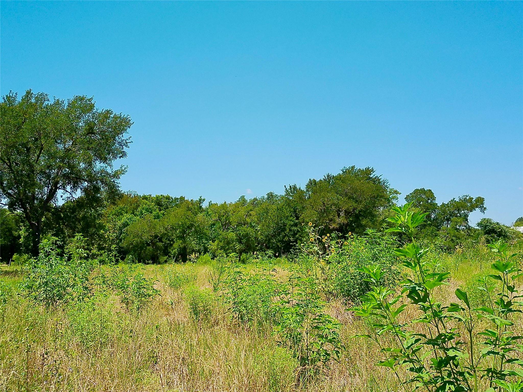 216 Serenity DR, Liberty Hill, TX 78642