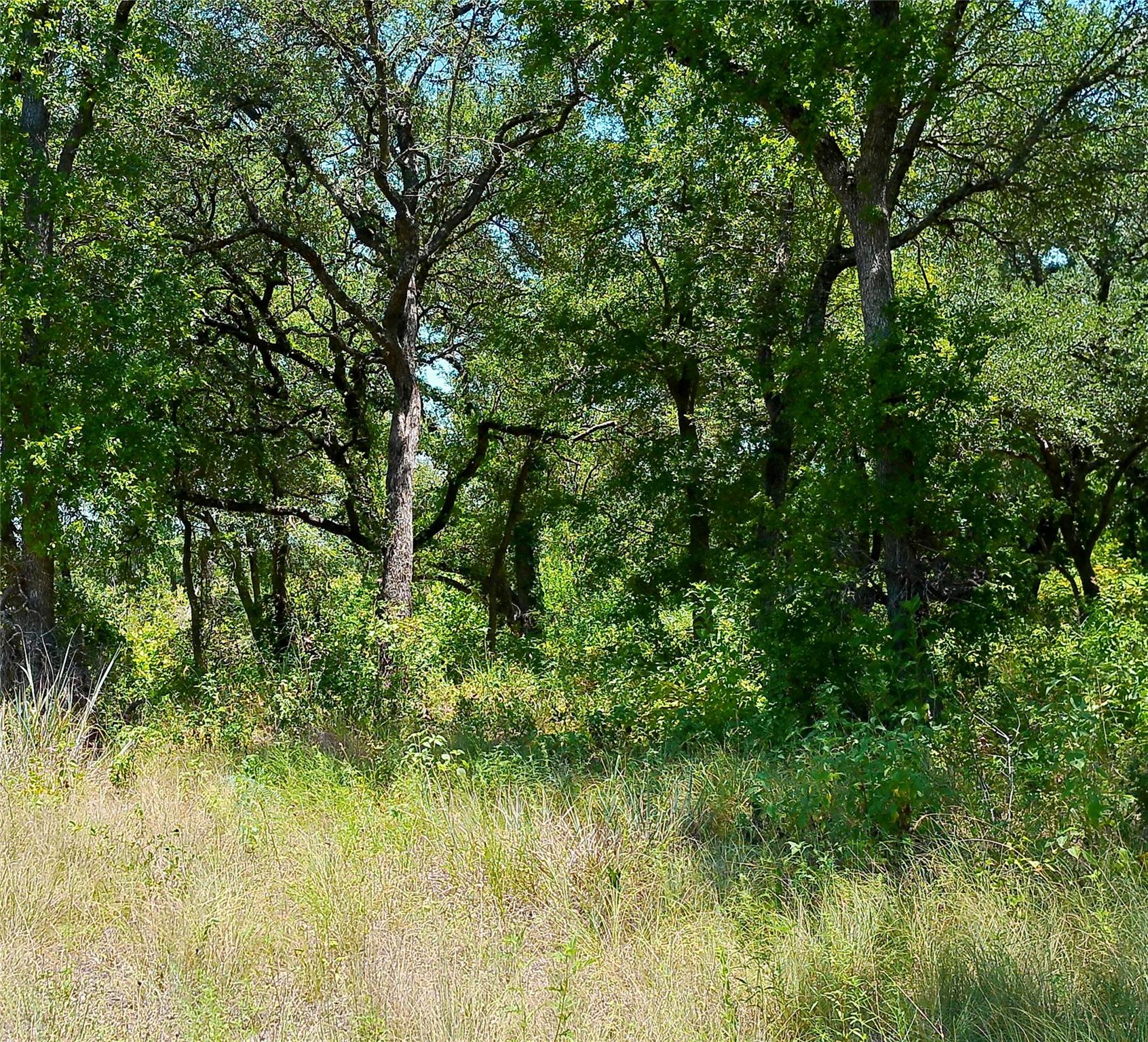 216 Serenity DR, Liberty Hill, TX 78642