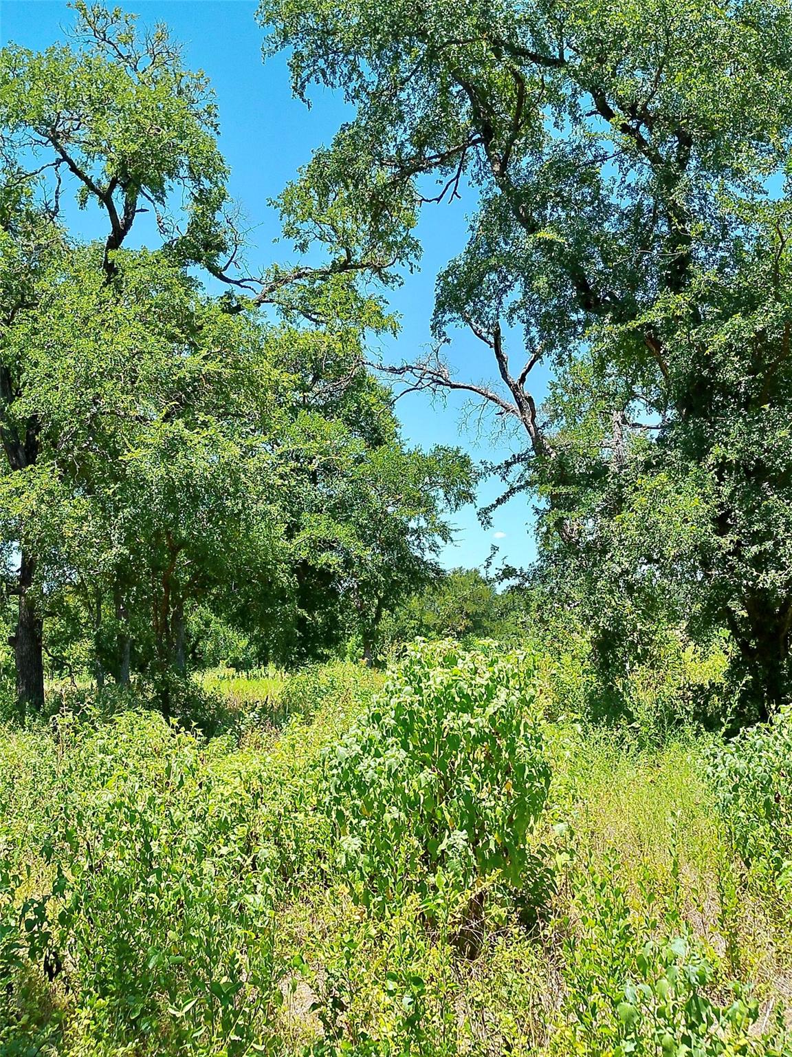 216 Serenity DR, Liberty Hill, TX 78642