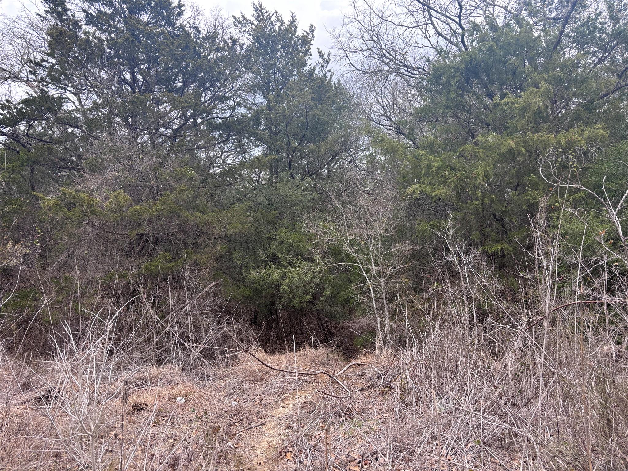TBD Pearson RD, Cedar Creek, TX 78616