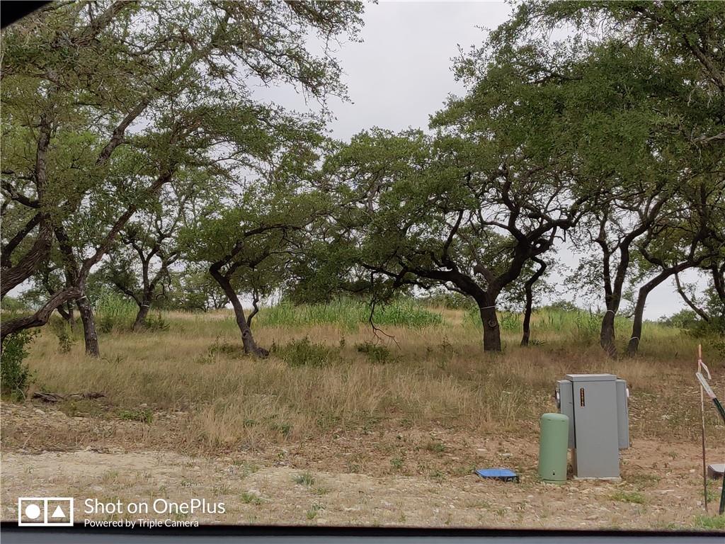 410 Whisenant LN, Dripping Springs, TX 78620