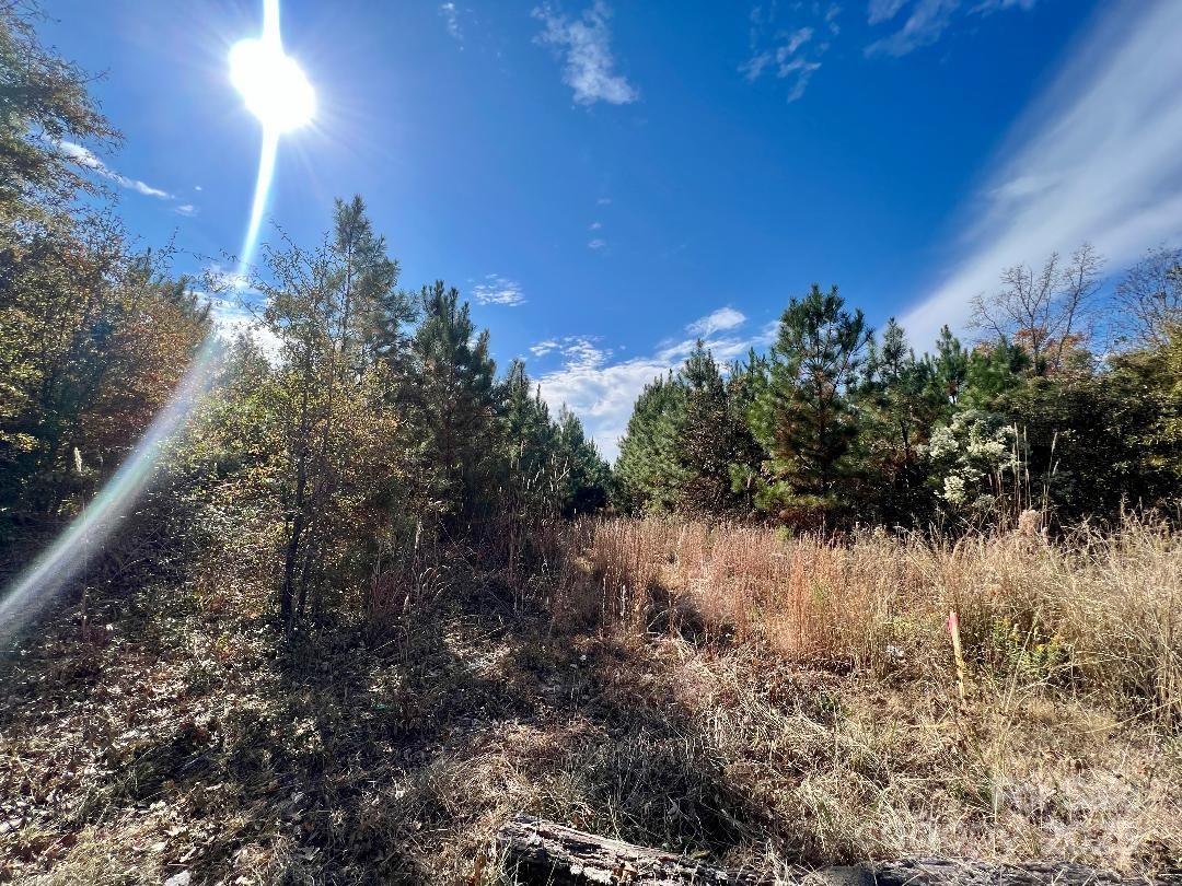 11.53 acres Old Camden Hw, Lancaster, SC 29720