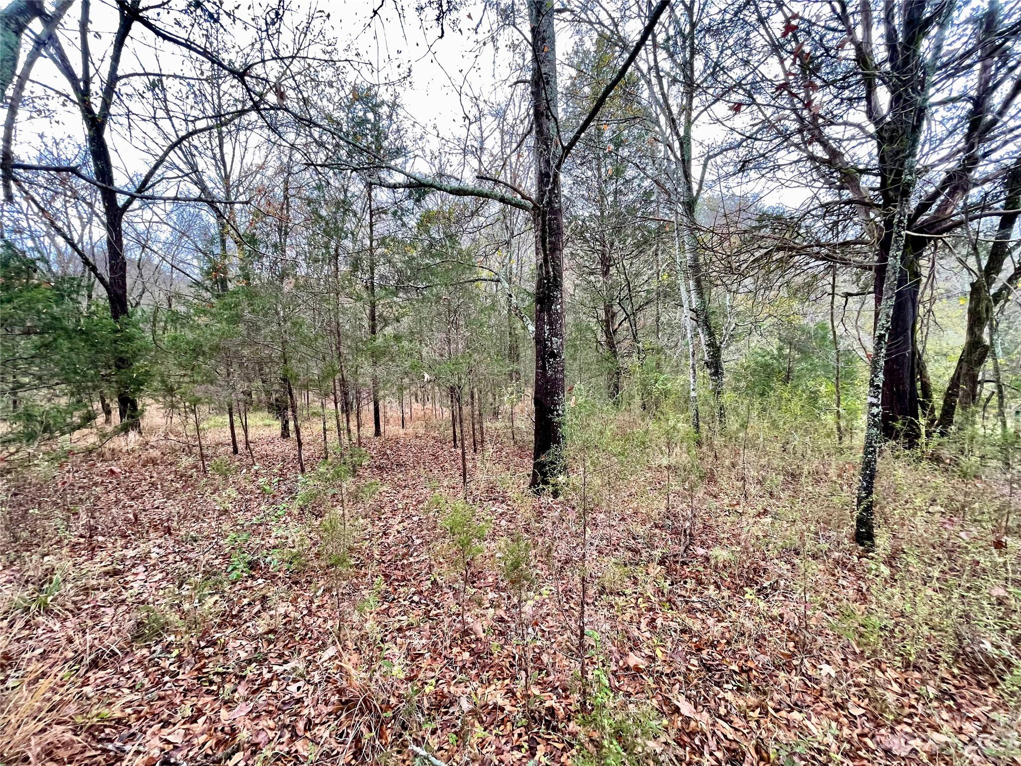 2234 Corinth Rd, Gaffney, SC 29340