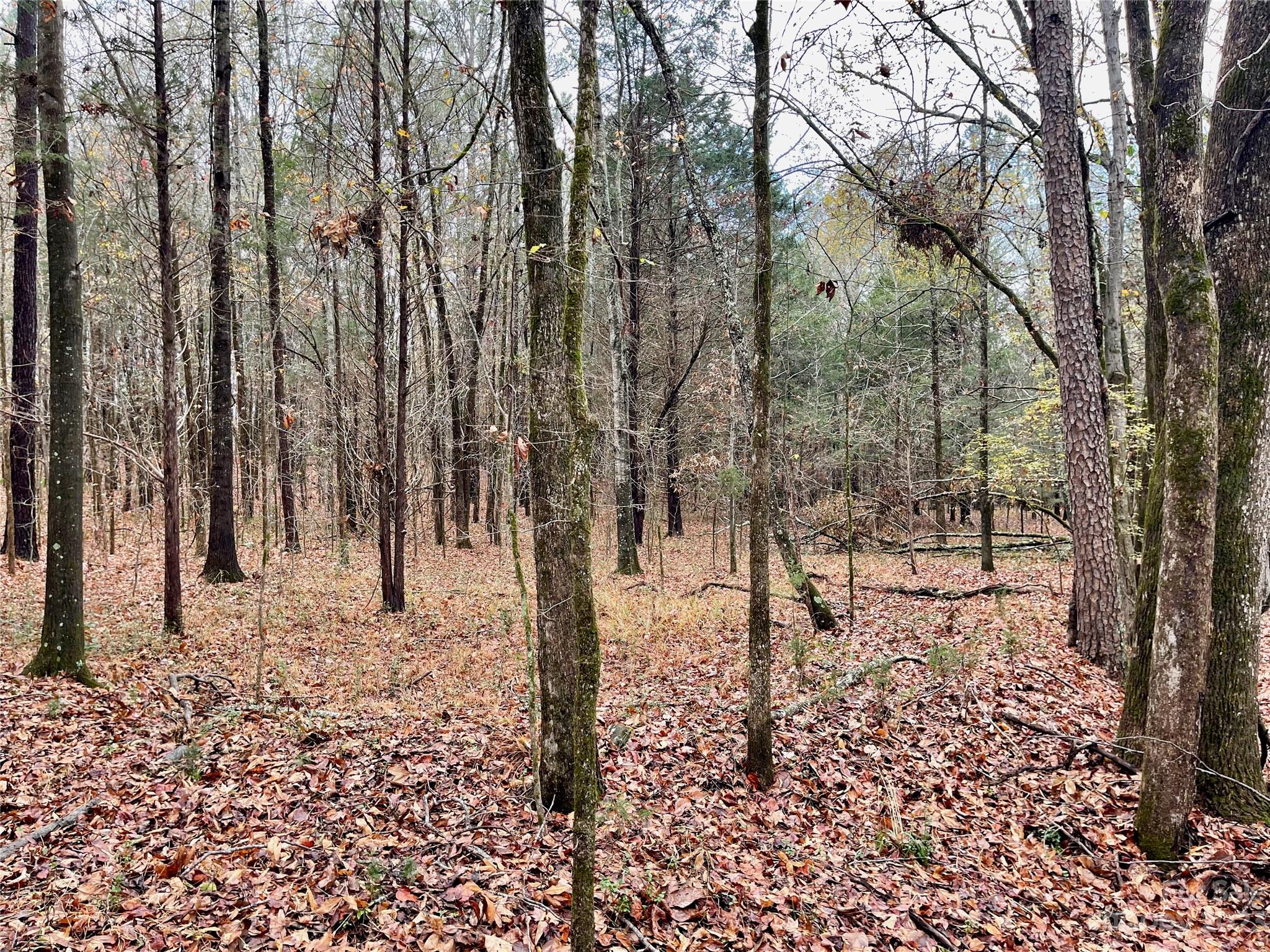 2234 Corinth Rd, Gaffney, SC 29340