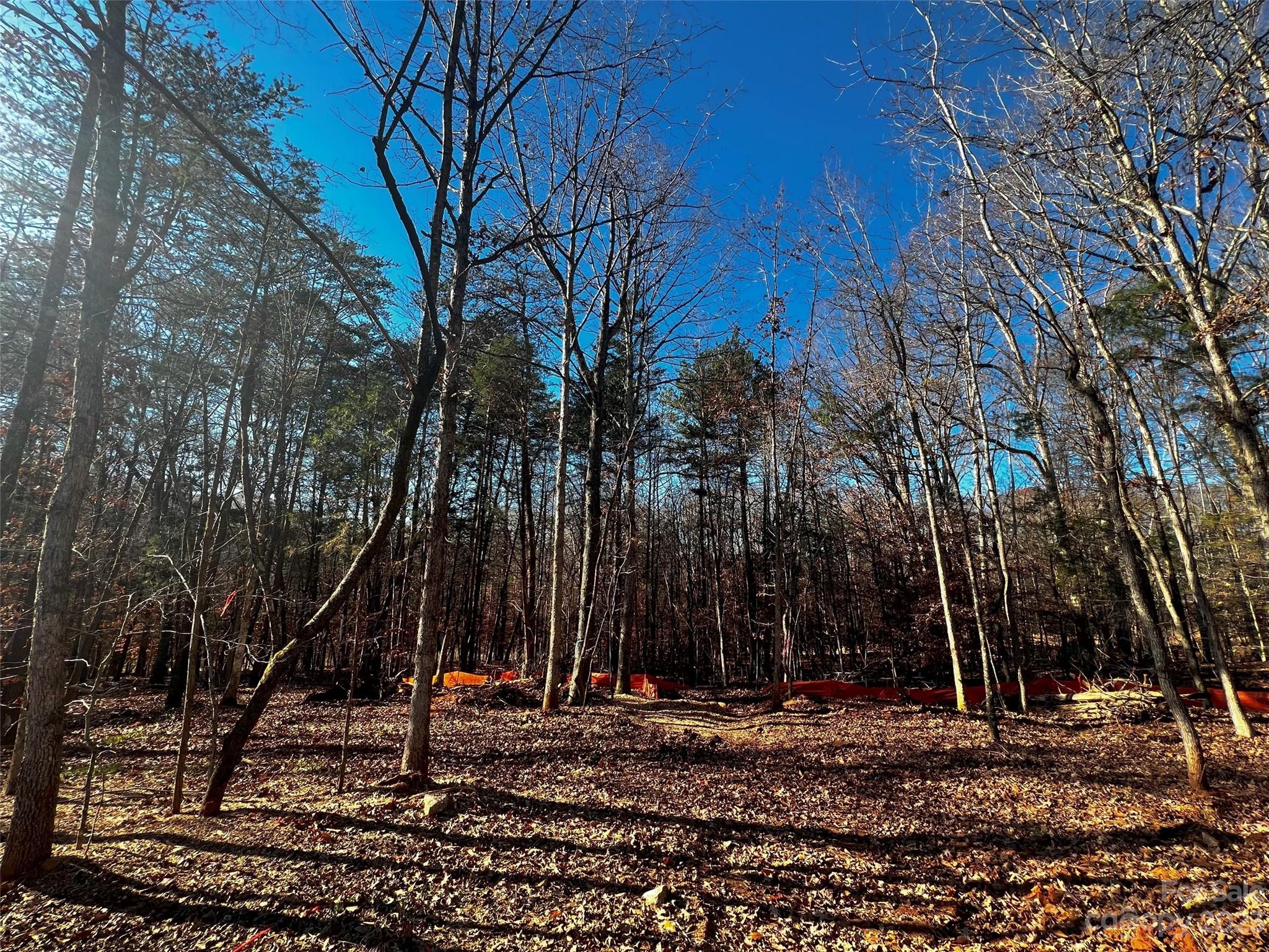 156 Copper Pine Ln #5, Davidson, NC 28036