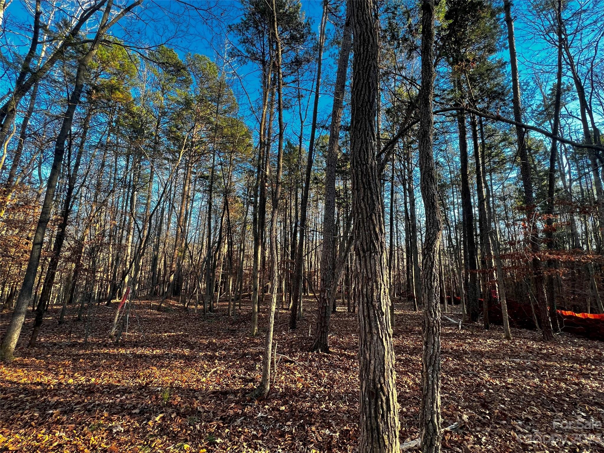 126 Hunt Camp Trl #20, Davidson, NC 28036