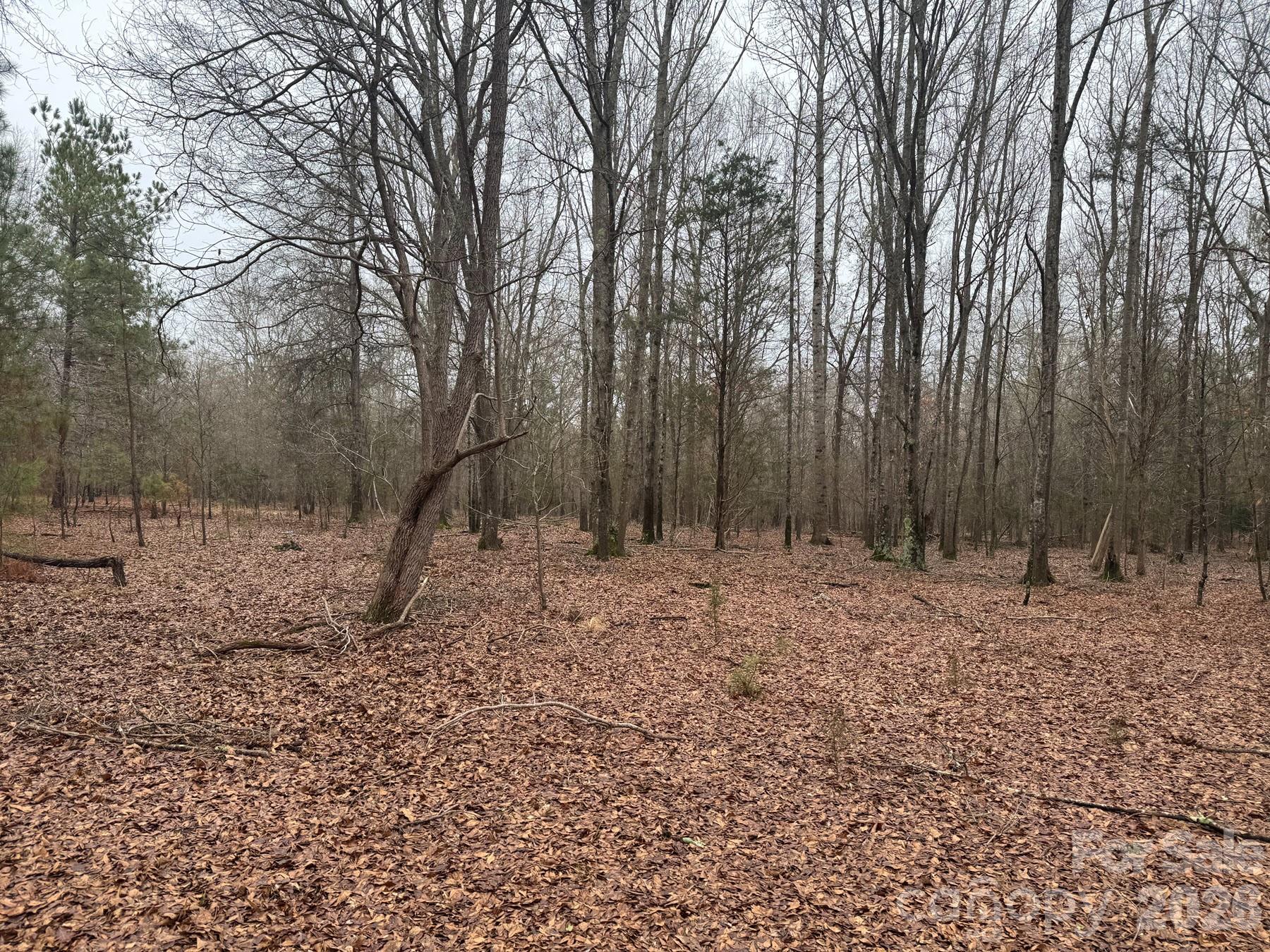 4252-1 Reid Rd, Rock Hill, SC 29730