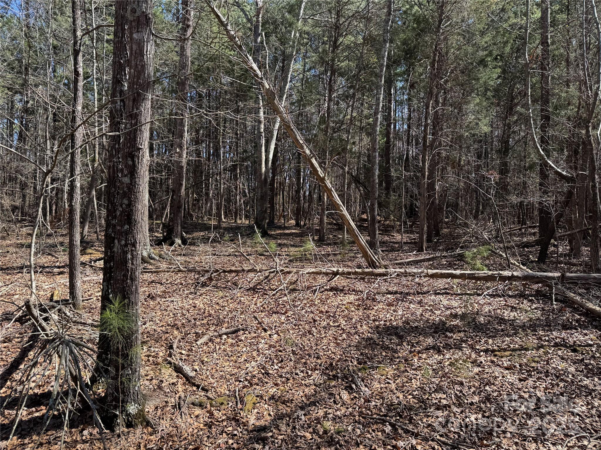 1905 Bechtler Rd, Edgemoor, SC 29712