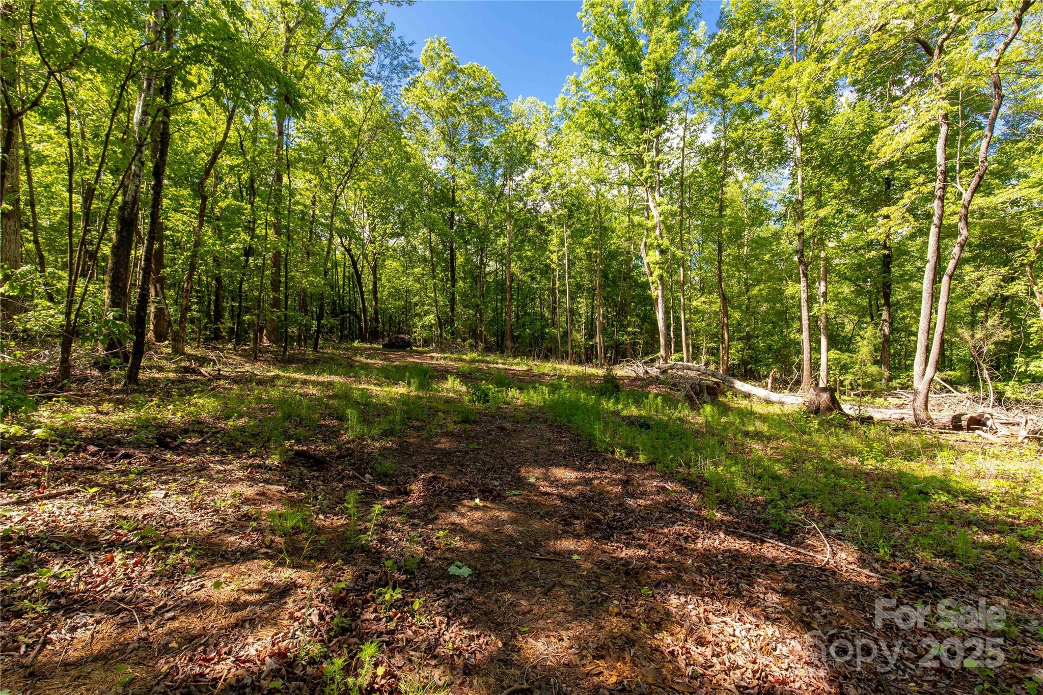 5212 Star Magnolia Ct, Clover, SC 29710