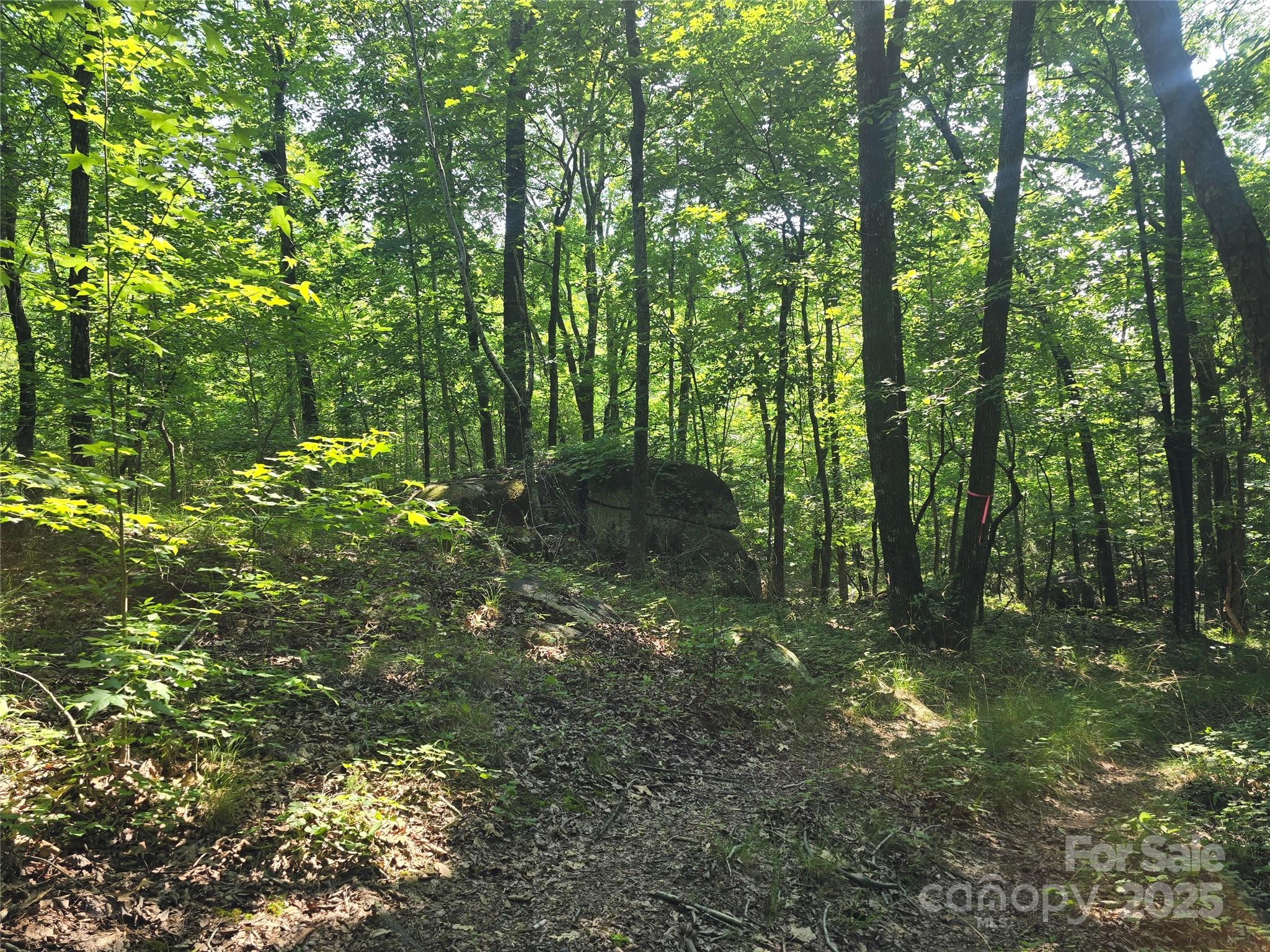 00 Hoke Rd, Heath Springs, SC 29058