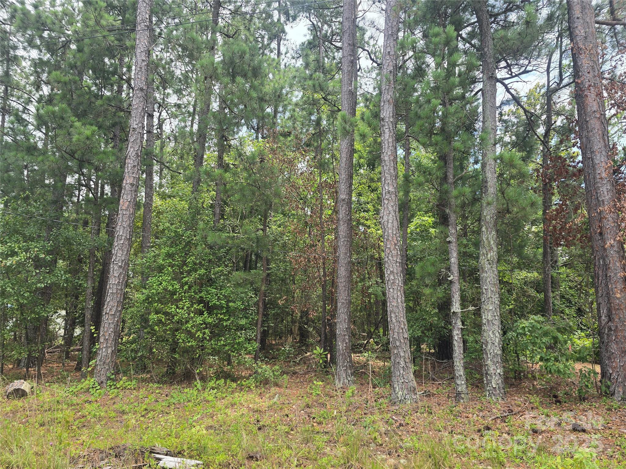 00 Johnny Williams Rd #5, Kershaw, SC 29067