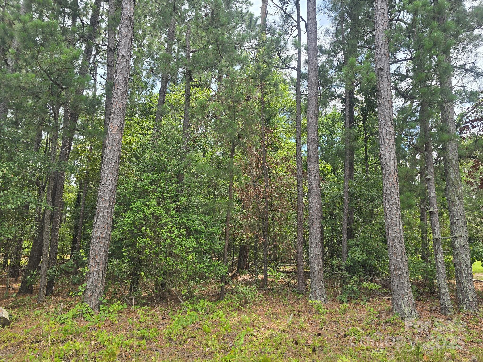 00 Johnny Williams Rd #5, Kershaw, SC 29067