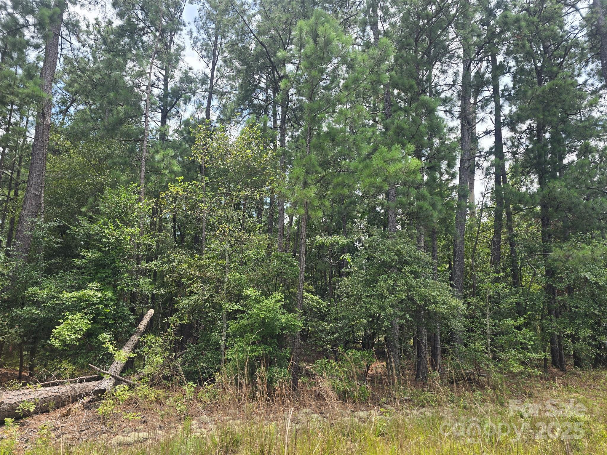 00 Johnny Williams Rd #5, Kershaw, SC 29067