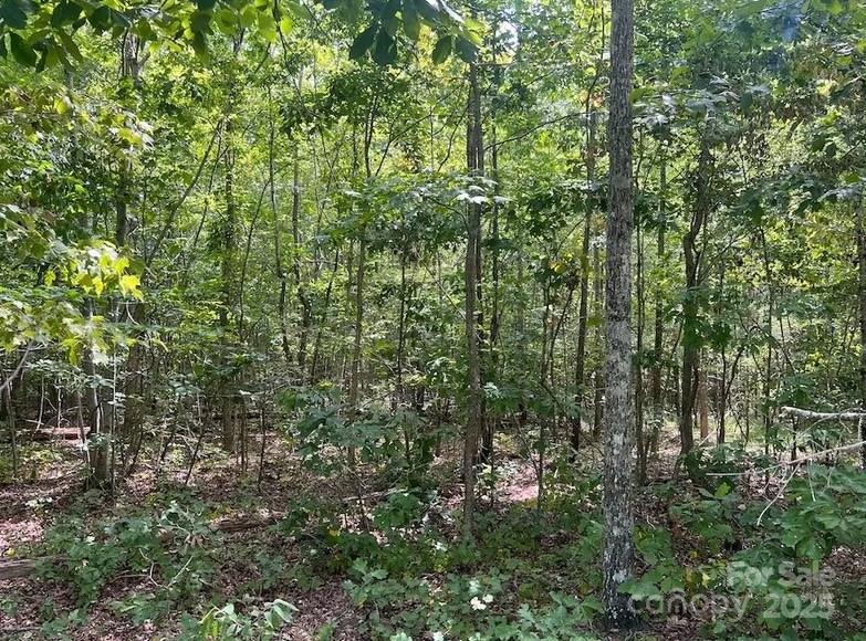00 Blue Branch Rd #Tract B, Gaffney, SC 29340