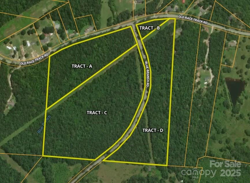 00 Blue Branch Rd #Tract B, Gaffney, SC 29340
