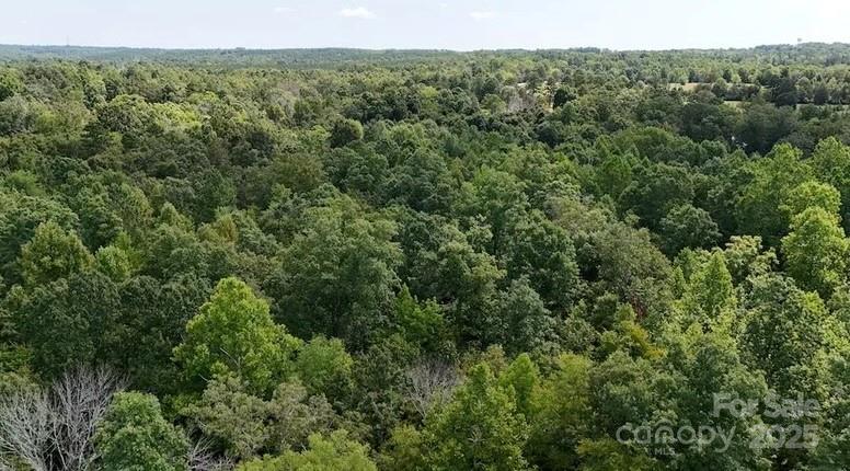 00 Blue Branch Rd #Tract C, Gaffney, SC 29340