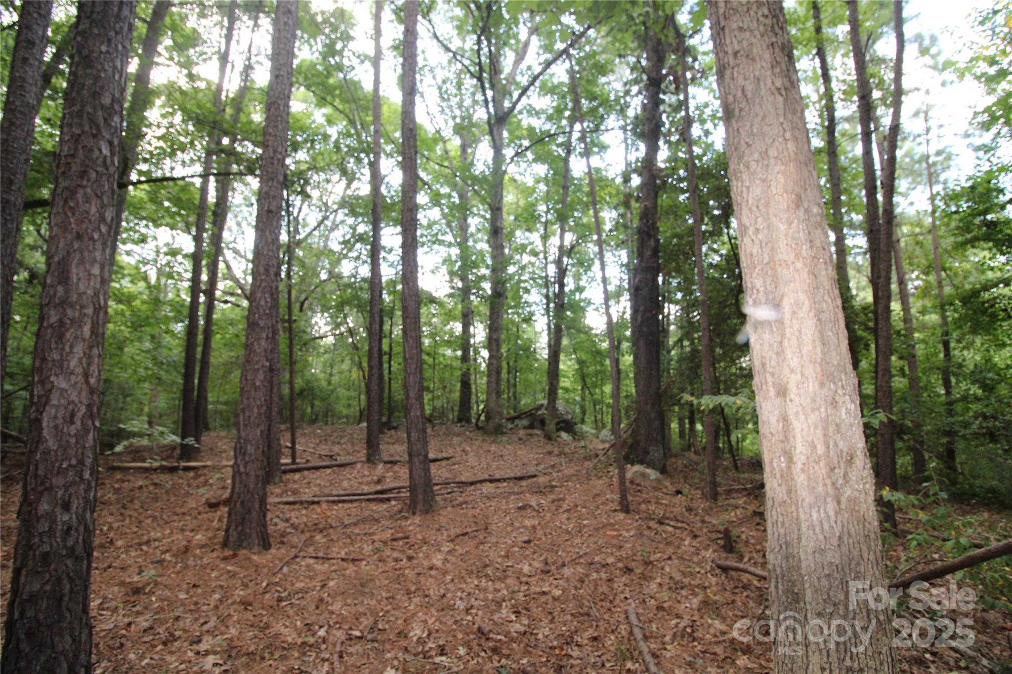 Lot 1 Lake Wylie Dr, Rock Hill, SC 29732