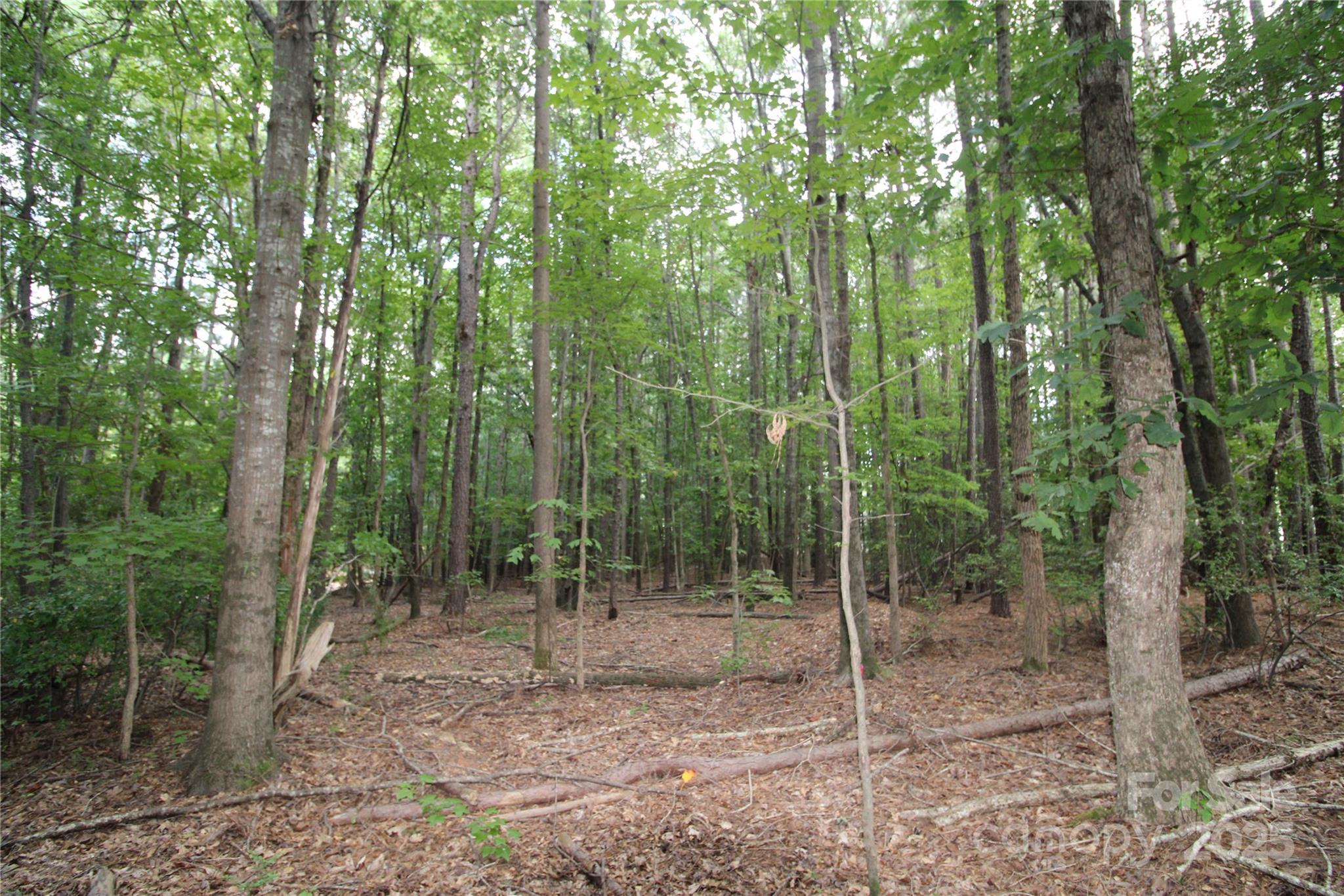 Lot 2 Lake Wylie Dr, Rock Hill, SC 29732