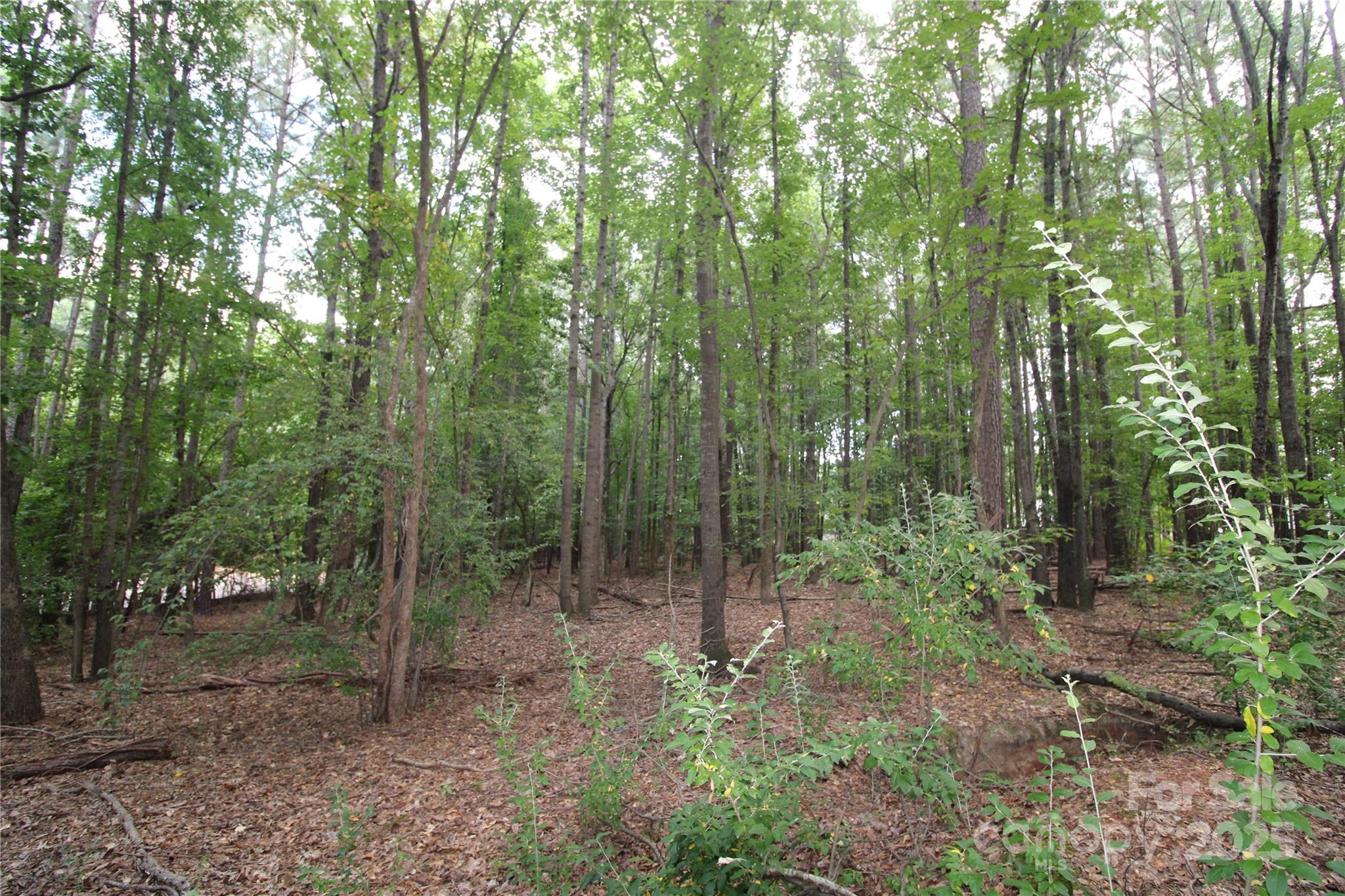 Lot 4 Lake Wylie Dr, Rock Hill, SC 29732