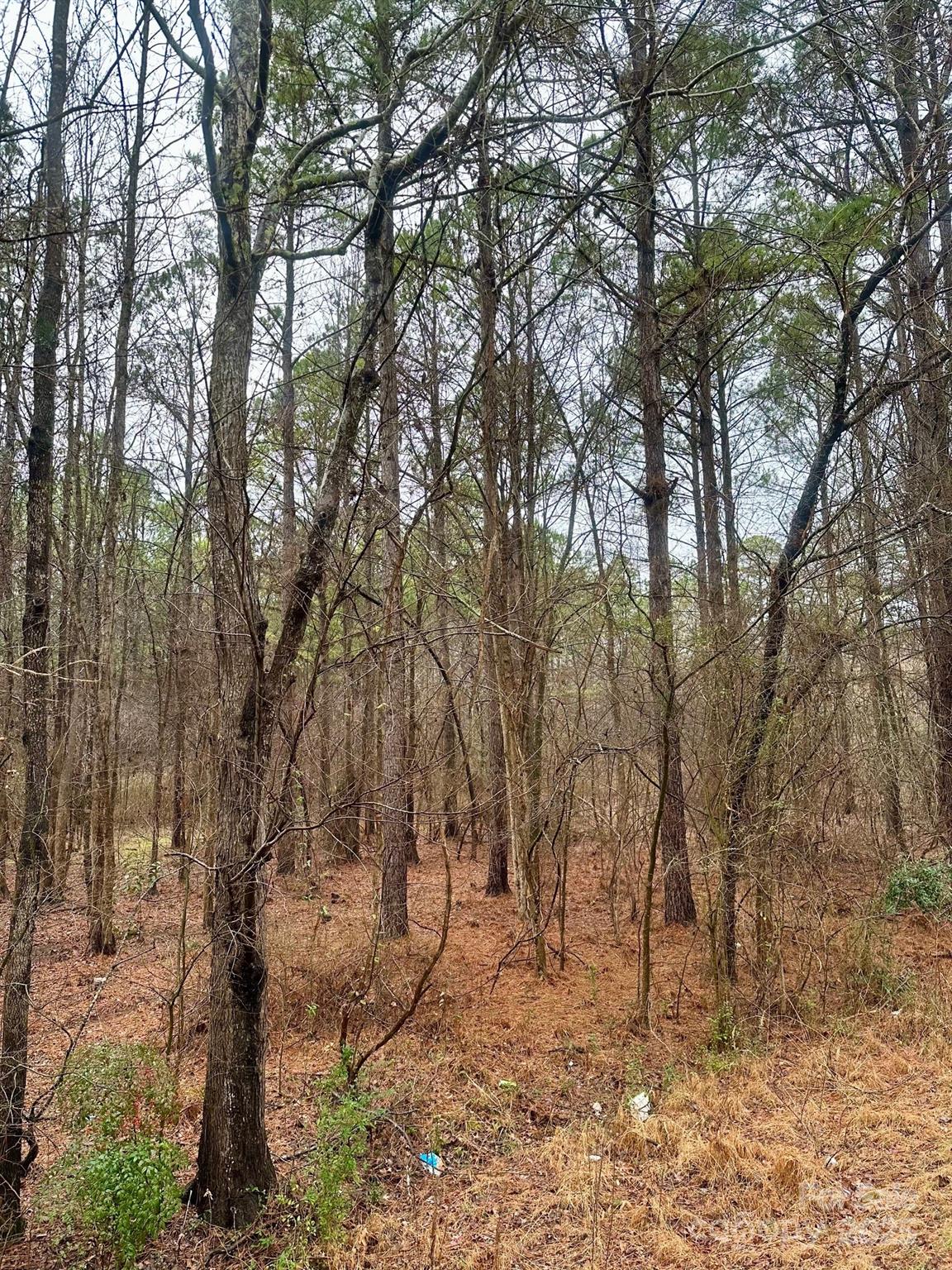 1176 Great Falls Hw, Chester, SC 29706