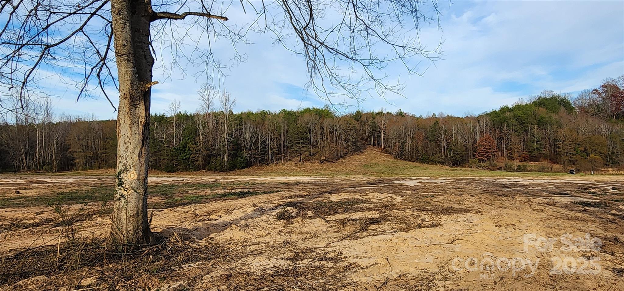 151 Cobb Rd, Blacksburg, SC 29702
