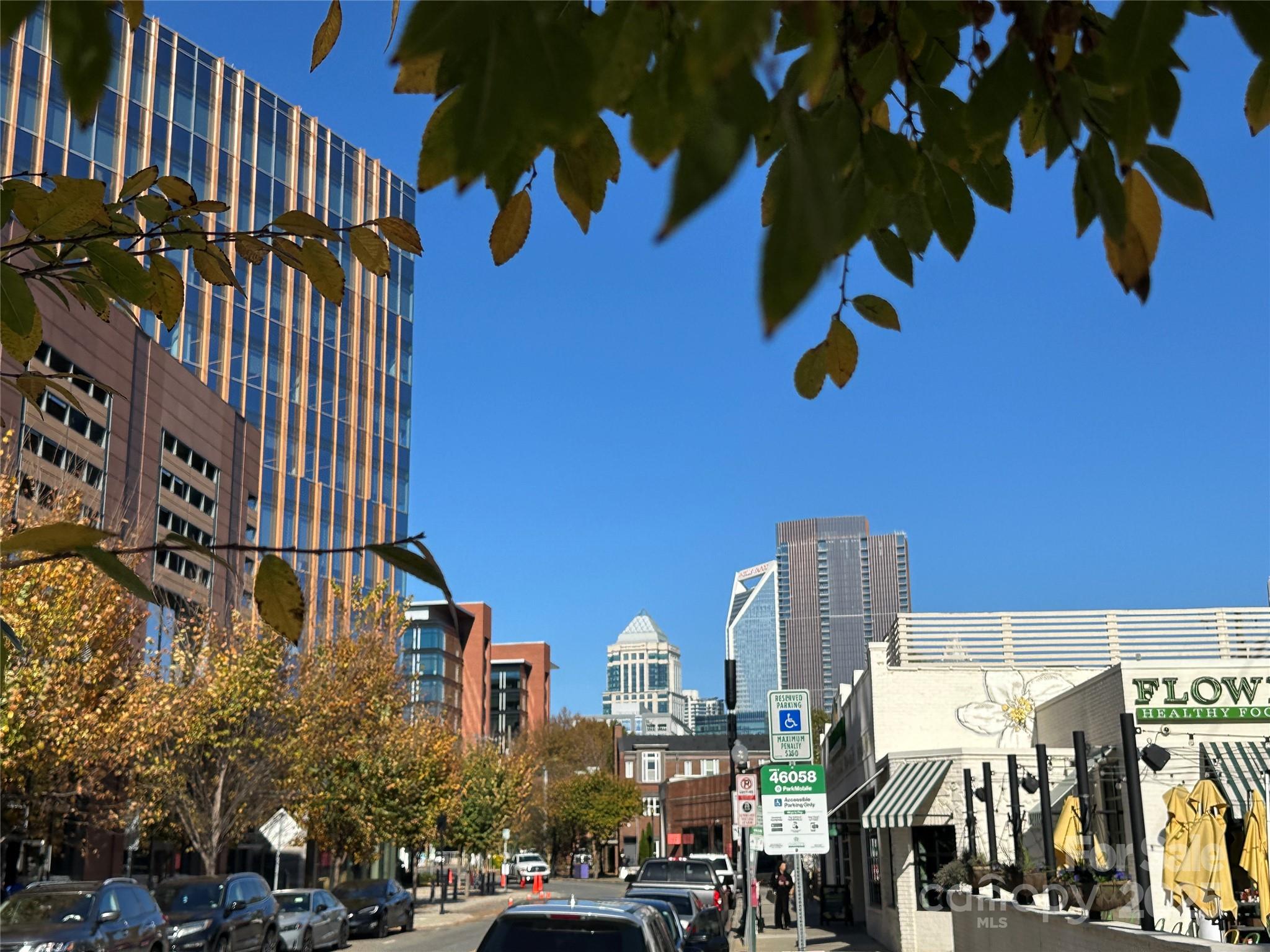 212 E Park Ave, Charlotte, NC 28203