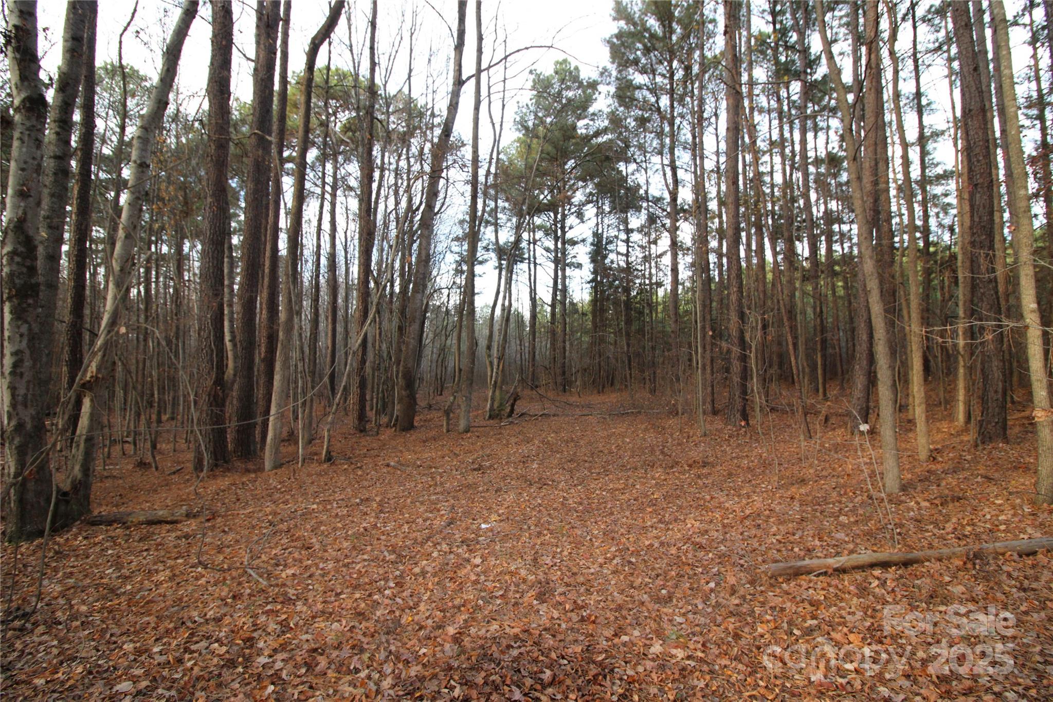 0 Pioneer Rd, York, SC 29745