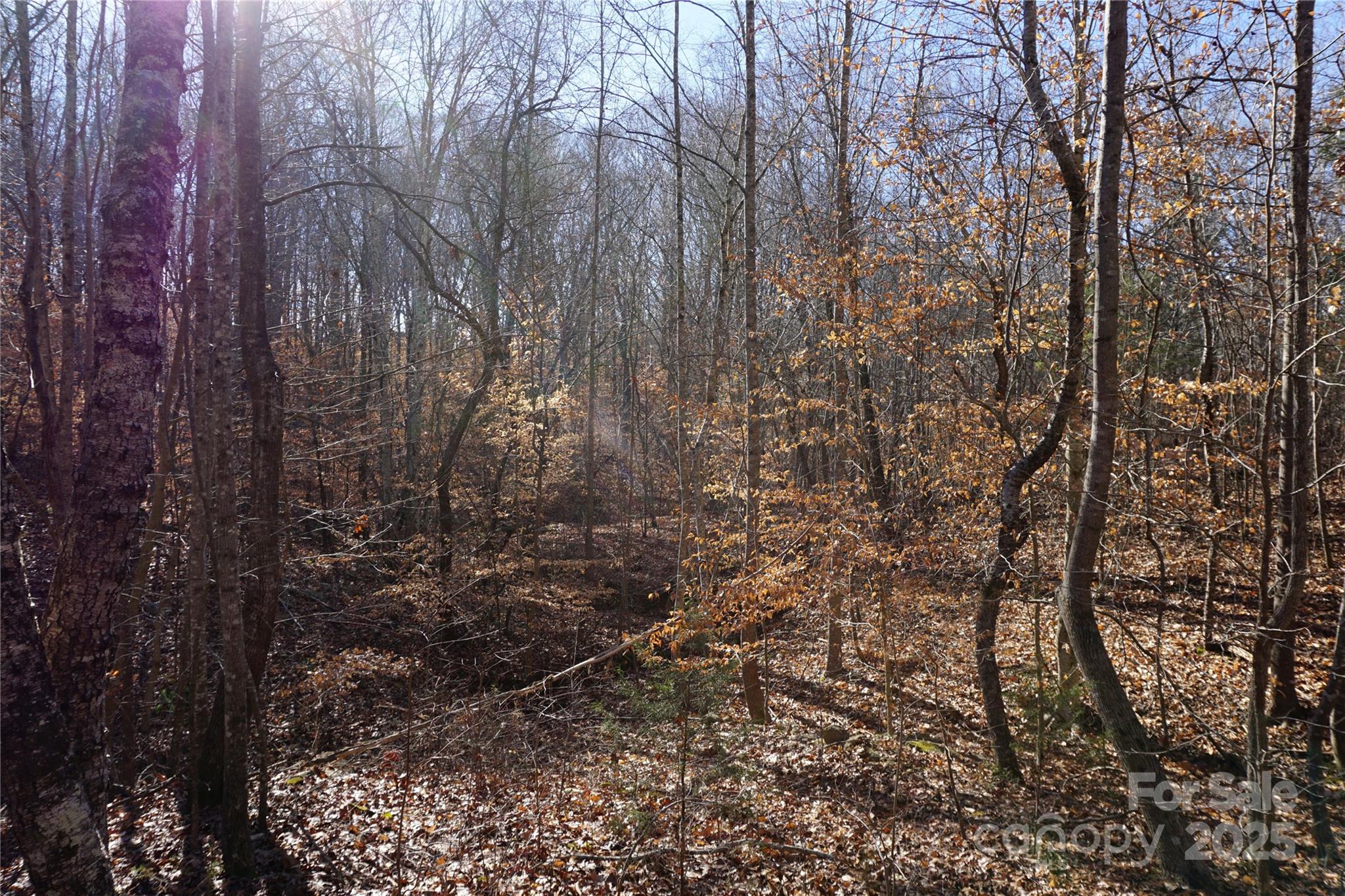 0 Ramah Church Rd LOT B, York, SC 29745
