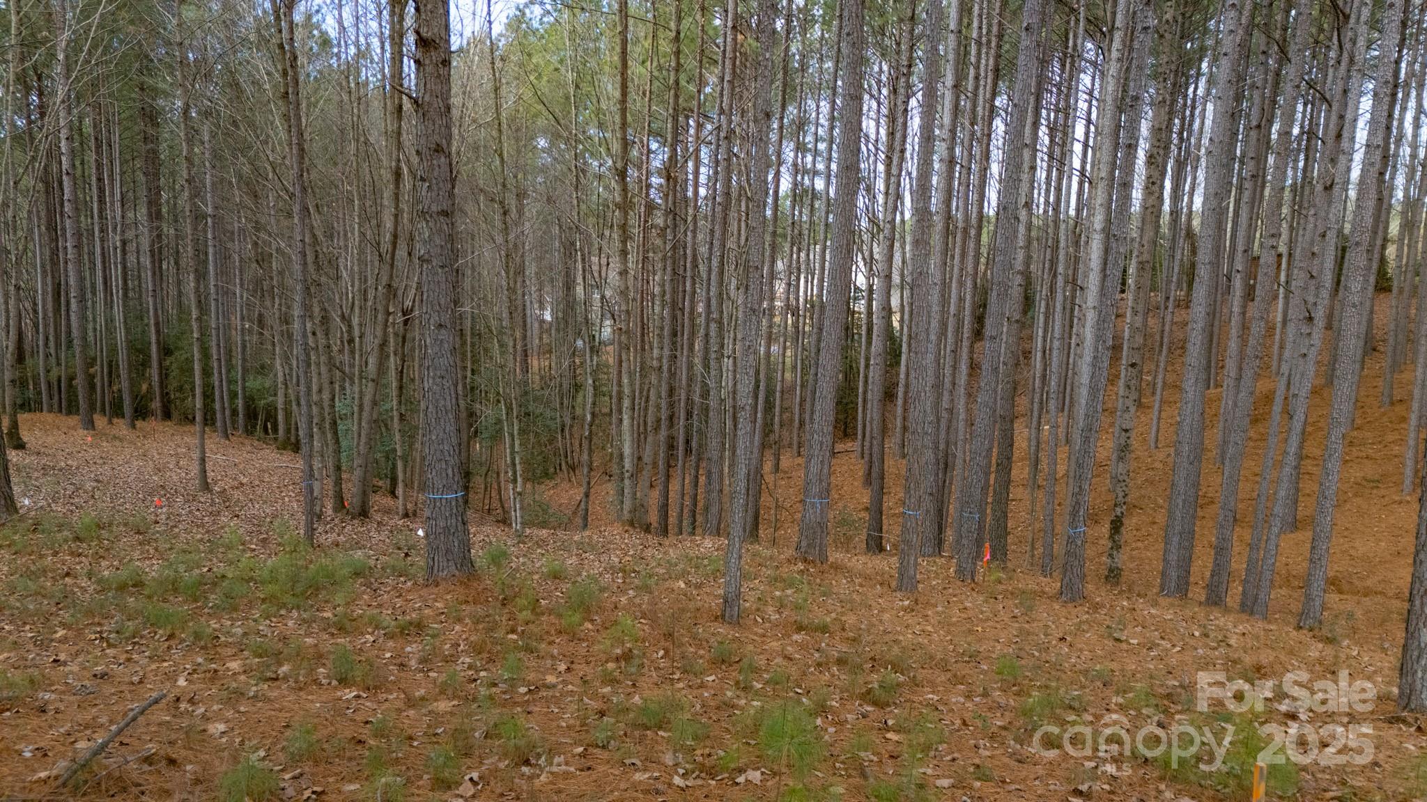 340 Gardner Point Dr, Stony Point, NC 28678